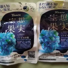 カンロ 空想果実 イトピスの実 グミ 2袋セットのサムネイル
