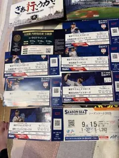 野球　ヤクルト　チケット半券のサムネイル