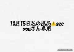 10月15日迄の出品seeyouさん専用