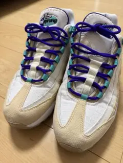Nike Air Max 95 SE 28.5cm