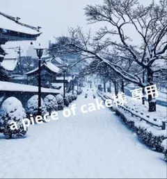 a piece of cake様 専用 ……Sブラック1枚