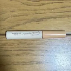CANMAKE コンシーラー プロウ マスカラ　眉毛コンシーラー　02