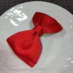 【オーダー作成】ハンドメイド☆蝶ネクタイ☆ヘアピン