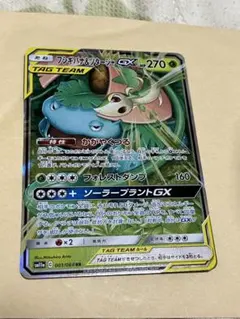 フシギバナ&ツタージャgx rr