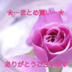 瞳ね〜さん様 リクエスト 2点 まとめ商品