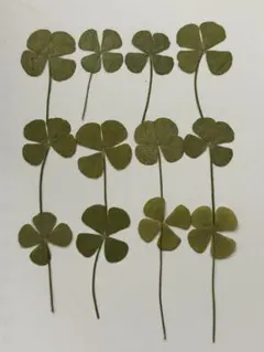 ゆき様 リクエスト 3点 まとめ商品