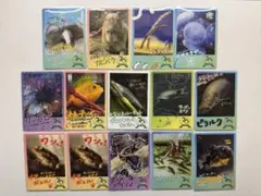 鳥羽水族館　コレクションカード