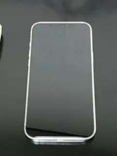 iPhone12promax 本体