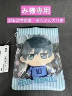 み様専用　ブルーロック みちっと！きらどるぬいぐるみvol.1 糸師凛