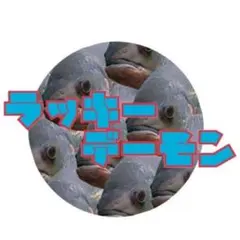 こちらは専用です11
