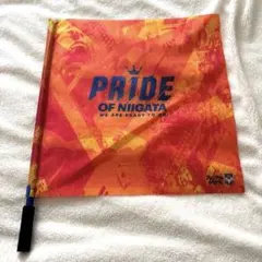 アルビレックス フラッグ