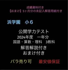 2026年最新】浜学園 小3 公開テストの人気アイテム - メルカリ