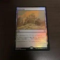 MTG 不毛の大地 Wasteland 英語 日本語 2枚セット - メルカリ