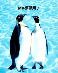 MK様専用♪