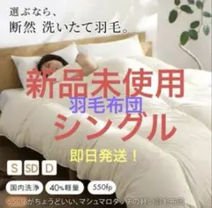 羽毛掛け布団 シングル