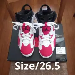 Nike Air Jordan 6 retro /カーマイン