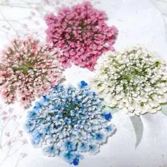 押し花素材＊レースフラワー　大サイズ14