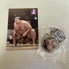 霧島 ダブルチャーム　力士カード セット