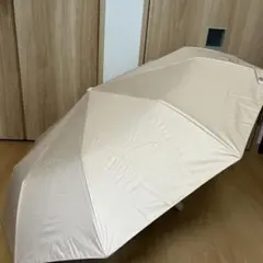 Item thumbnail for item 17ac401a-1ff0-4205-b0de-93ecff5ad478