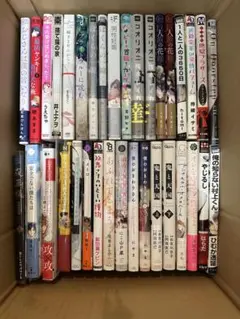BLコミック まとめ売り バラ売り可 漫画 ボーイズラブ ⑯ - メルカリ
