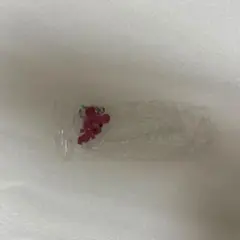 ポストペット モモ めじるしアクセサリー