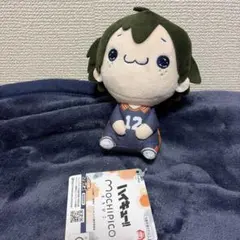 ハイキュー!! もちぴこぬいぐるみ 山口忠