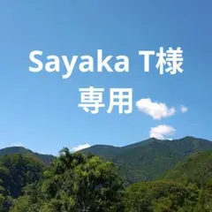 Item thumbnail for item cc7bc332-e9bf-4893-8a79-e9f77d5fa85c