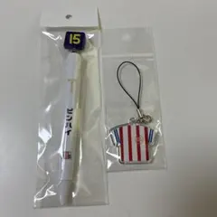 うぃっとねす様 リクエスト 2点 まとめ商品