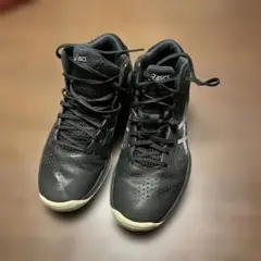 ASICS バスケットシューズ GELHOOP V 10