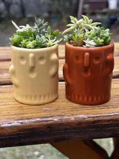 【本日限りタイムセール】多肉植物＊寄せ植え＊2個セット1,380円→1,280円