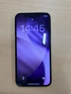 Apple iPhone 12 Pro 本体 グラファイト
