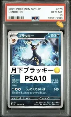 2026年最新】ひかるバンギラス psaの人気アイテム - メルカリ