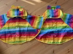 Item thumbnail for item cd99ff4f-34ae-4927-8a3b-a7630ad0a64e