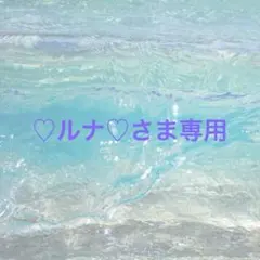 ♡ルナ♡さま専用