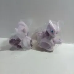 ポケモンキッズ　メガミュウツーセット③