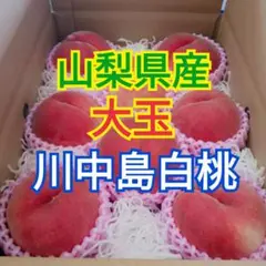 山梨県産　桃の王様　大玉　川中島白桃　8玉　3kg箱　ドリップ農法のサムネイル
