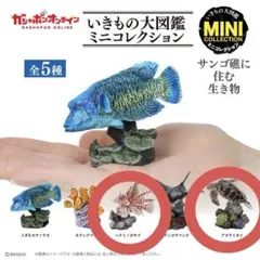 あああ　カサゴ　フィギュア 2025年最新】カサゴ フィギュアの人気アイテム - メルカリ