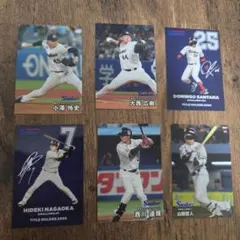 プロ野球チップスカードセット　東京ヤクルトスワローズ