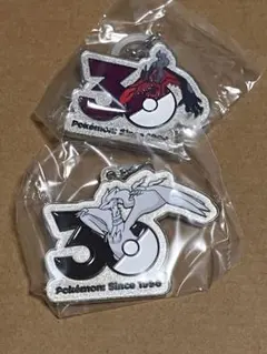 ポケモン 30周年 メタルチャームマスコット レシラム イベルタル　めじるし