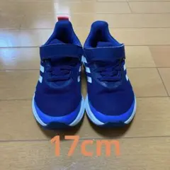 Item thumbnail for item e427de35-ffa4-496d-a946-f5b69957b8f1