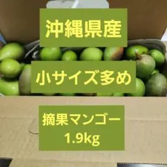 2026年最新】摘果マンゴーの人気アイテム - メルカリ