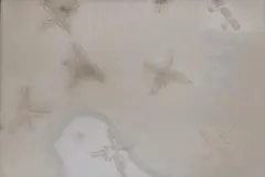 아크쿤 전용 전시