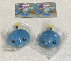 教育番組 ぬいぐるみバッジ タマ2種セット　ガチャガチャ
