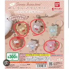 めじるしアクセサリー☆サンリオ☆ラテクマデザイン