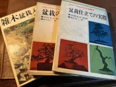 遊郭残照を求めて【赤線跡を歩く・3部作】木村聡 - メルカリ