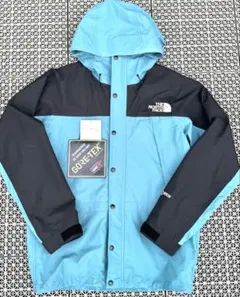 THE NORTH FACE MOUNTAIN LIGHT JACKET L