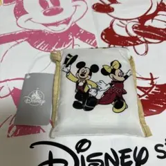 ディズニーストア　東京ディズニーリゾート店　エコバッグ　25周年　エコバ