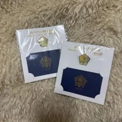 嵐 ワクワク学校 ピンバッジ