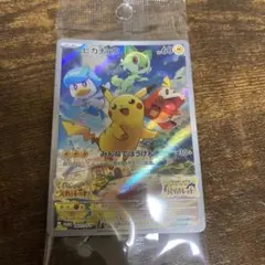 ピカチュウ：パッケージ版『ポケットモンスターバイオレット』『Pokémon』 2026年最新】スカーレットバイオレット ピカチュウの人気アイテム