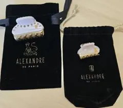 美品 ALEXANDRE DE PARIS ヘアクリップ 2個セットのサムネイル
